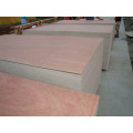 birch plywood/cheap plywood for sale/film coated plywood